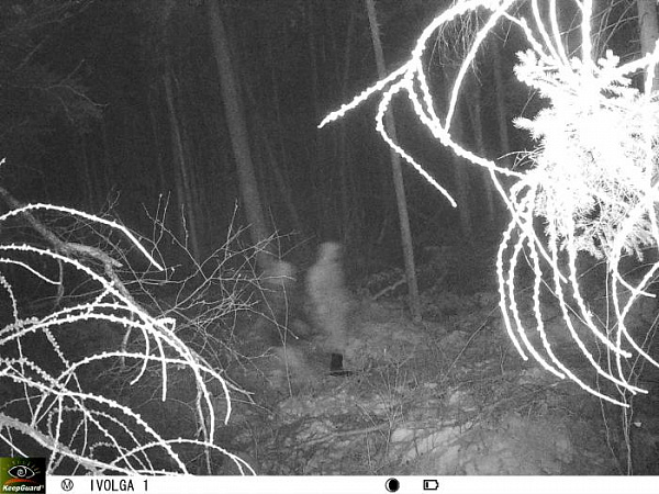 � ������� �� ������ �������� ��������� ��������� ����������� 