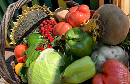 � ������ ����-��� ����������� ���������� ���������� ���������. ������������