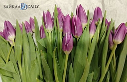 ������� ���������� ������� ���������� �� ����������� ���������