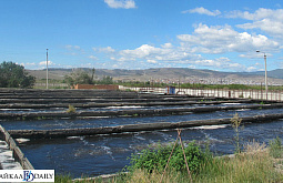 ������ ������� �������� ������� ����������� �� �������� 257 ��������� 