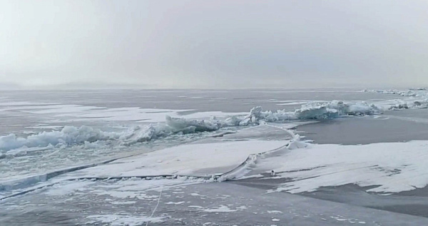 �� ������� ��������� ����� �������