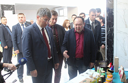 ������ ���� ������� ������ ������� ������� ���������