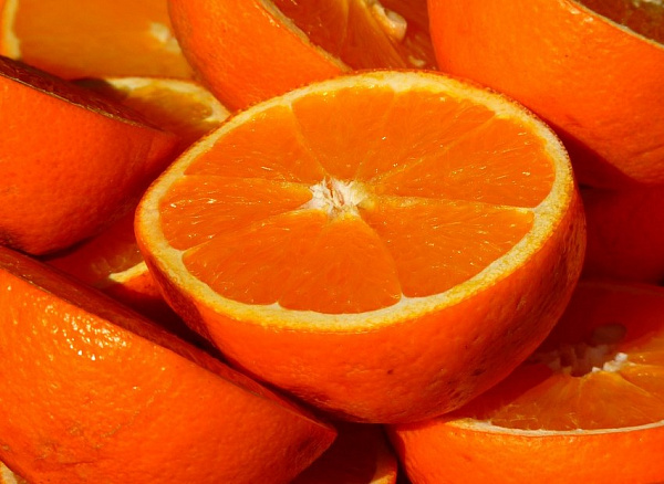 ����-������� ������ �������� ��������� ����� 