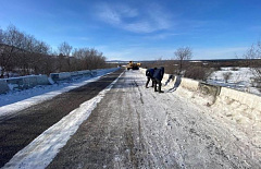 � ������� ������������ ������������ �������� ������ 