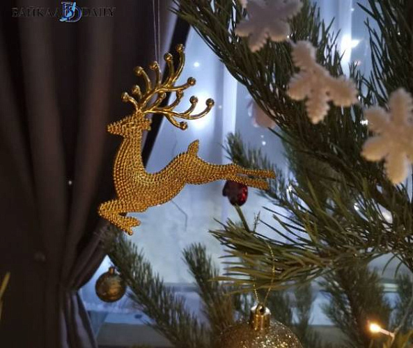 �������� ����-������� ���������� ��������� ����� ����