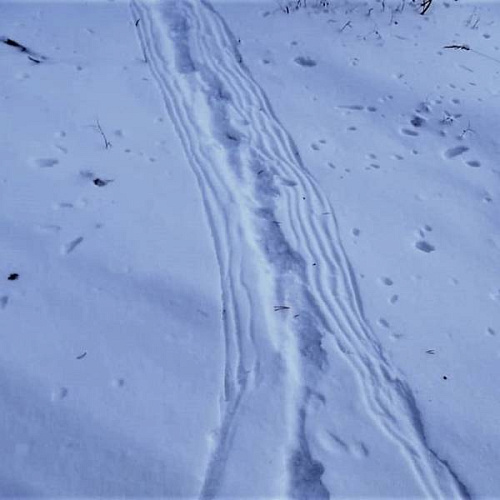 �� ������� ������� ���������� ������ ����� 