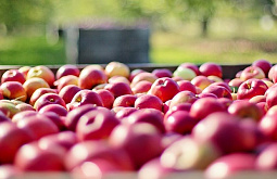 � ������� ��������� ����������� ����� 100 �� �����