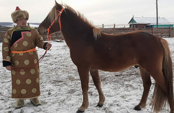 ��������� ������ ���� ��������� ������������� ��������