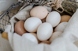 � ������� ���������� ����, ������ ����� � ������������� �������