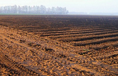 �������������� ���������������� �������� � ���������������� ��������� 