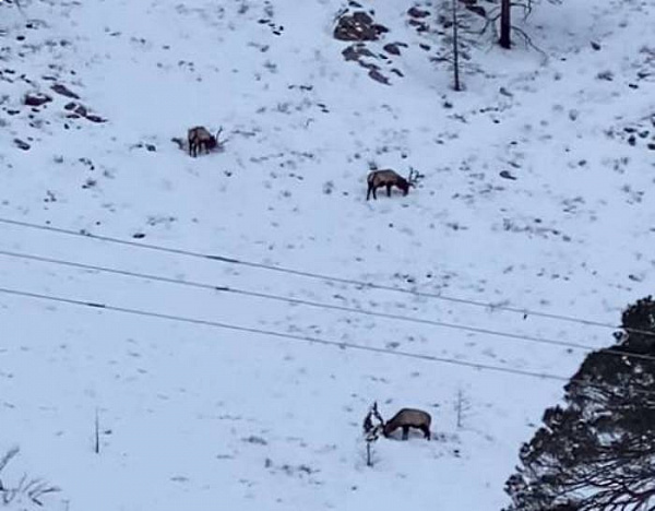 ��������� ������� ���������� ��������� ������� 