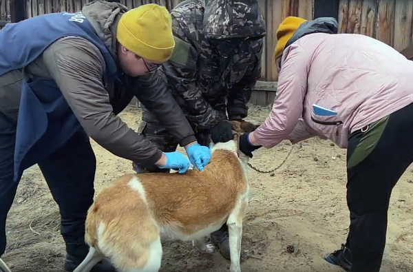 � ����-��� ���������� ���� �� ����������� ��������������� ���������