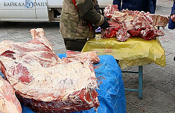 ����� ������� ������� ������� ������ ���������� ���� ��� �������� 