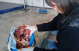 � ������� �������� ���� ������� �������� 