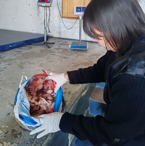 � ������� �������� ���� ������� �������� 