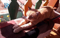 ������� ������� ����������, ��� ������� ������� ������� �����