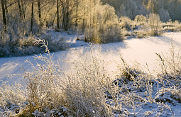 ������� ������� ���������� ������ ��������� ��� 