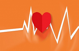 ��������� ����� ���������, ��� ��������� �������� ������ 