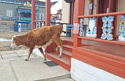 ������ ����� ������������ � ����������� ����� � �������