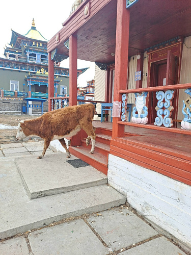 ������ ����� ������������ � ����������� ����� � �������