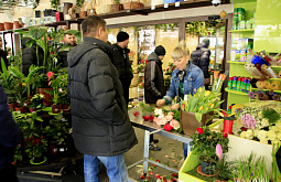 ������� ������� ������������ ��������� ��������