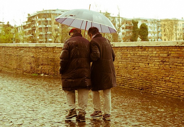 ������� ��������� ��������� ����������������� ����� ������� �� 80 ���