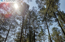 � ��������� ������� ����������� ������ �������� � ������� � ����������