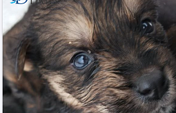 � ������� ������� ����� ������� ������ � ����� ��-�� ������