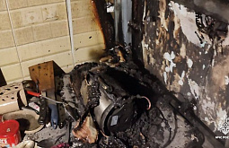 � ����-��� 49-������� ������� ������ �� ������� ��������