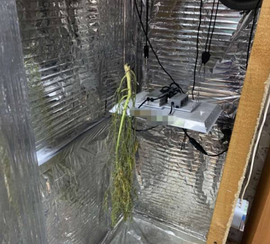 � ������� 22-������ ������ ��������� ���� ������� 