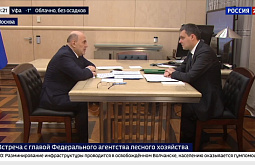 Рослесхоз: на Бурятию и Забайкалье пришлось 86% лесных пожаров