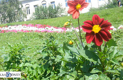 � ����-��� ������� ������ ��������� ������