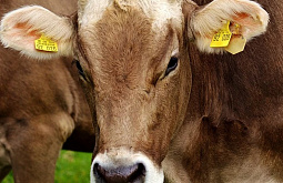 � ������� ����� �������-�������� ����� ��������� �� � ��� ����