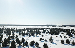 � ������� ������� 160 �������� �������� ������ � ������� 