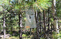 �� ���������� � ������� ���������� �������