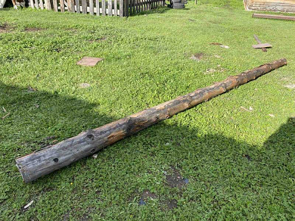 � ������� ������� �������� �������� ����� ������� 