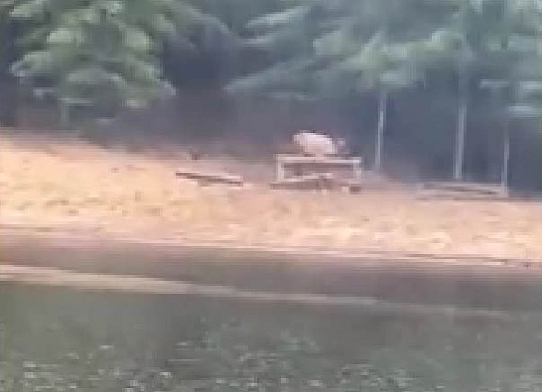 � ��������� ������� ������ ��������� ������� �����