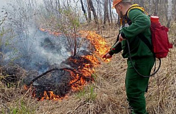 В Бурятии оперативно потушили лесной пожар