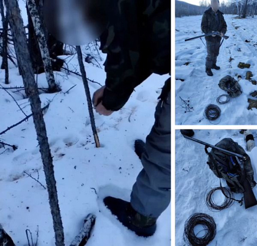 � ������� ������� ����������, ������������ �� ��������