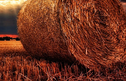 � ������� ������������� ����������� �������� � ������������ �����