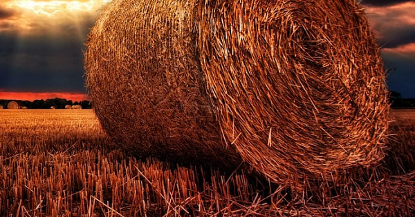 � ������� ������������� ����������� �������� � ������������ �����