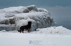 ����-������� ��������� �� �������� ����� ��� � �������