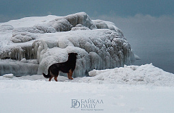 ����-������� ��������� �� �������� ����� ��� � �������