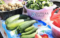 � �������� ������ ��������� �� ���� �������������� ����������