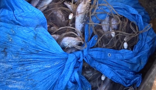 � ������� � ���������� ������ ������ �� 3,5 ��� ������