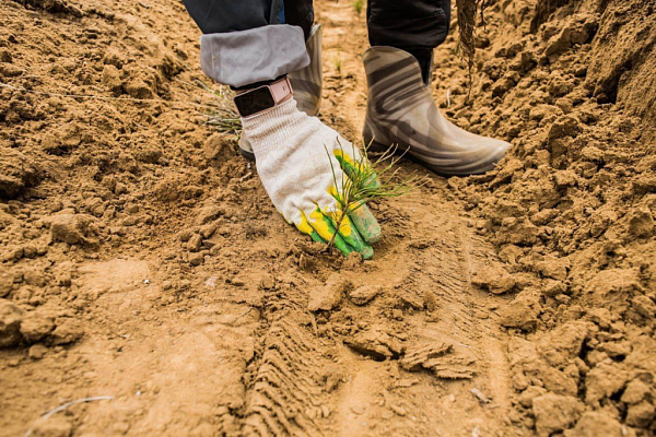 ������� ����-��� ������� ������� � ����� �� ������� ��������