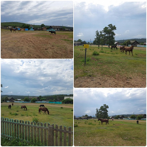 � ���� � ������� ����� ������� ������ �����