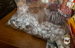 ������ �������� ������ ���� ����� ����� ������ �����