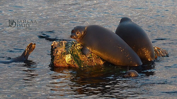 �� ������� � ������� ������� ������ � ������