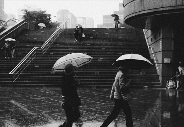 ������ ������� � ������� �����, ����� �  ���� 